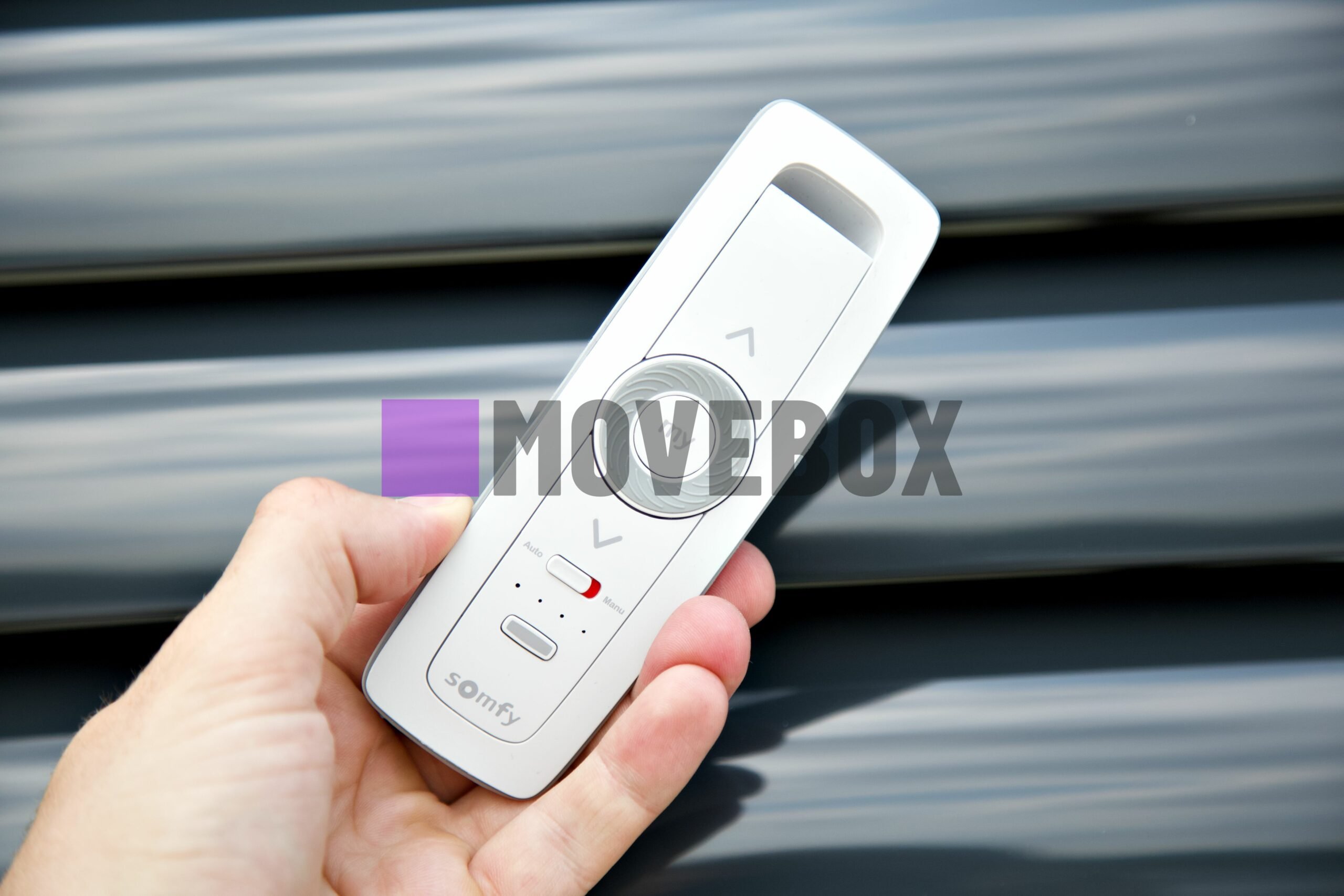 Container MOVEBOX 20