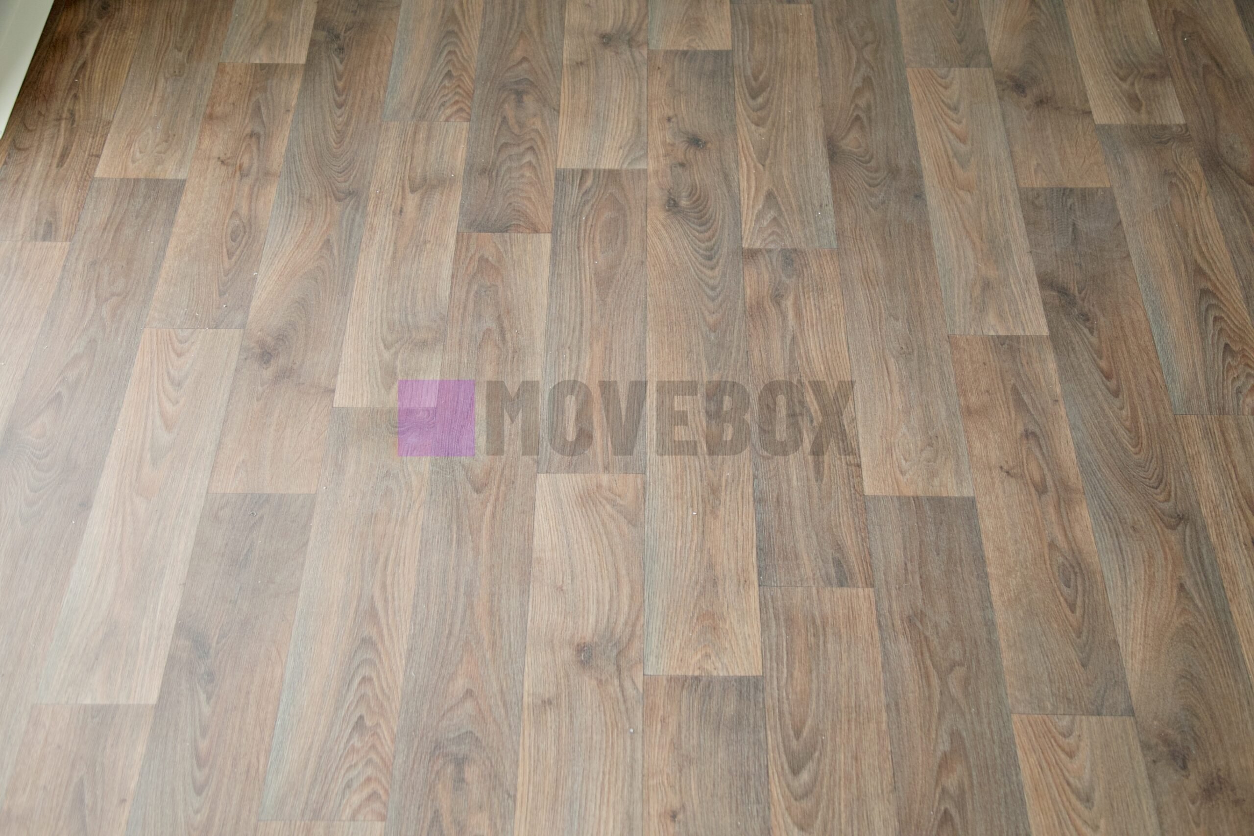 Container MOVEBOX 33