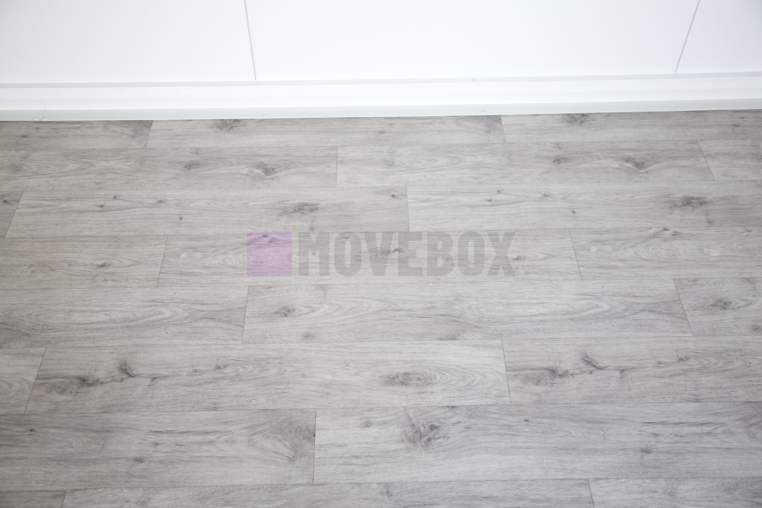 Container MOVEBOX 67