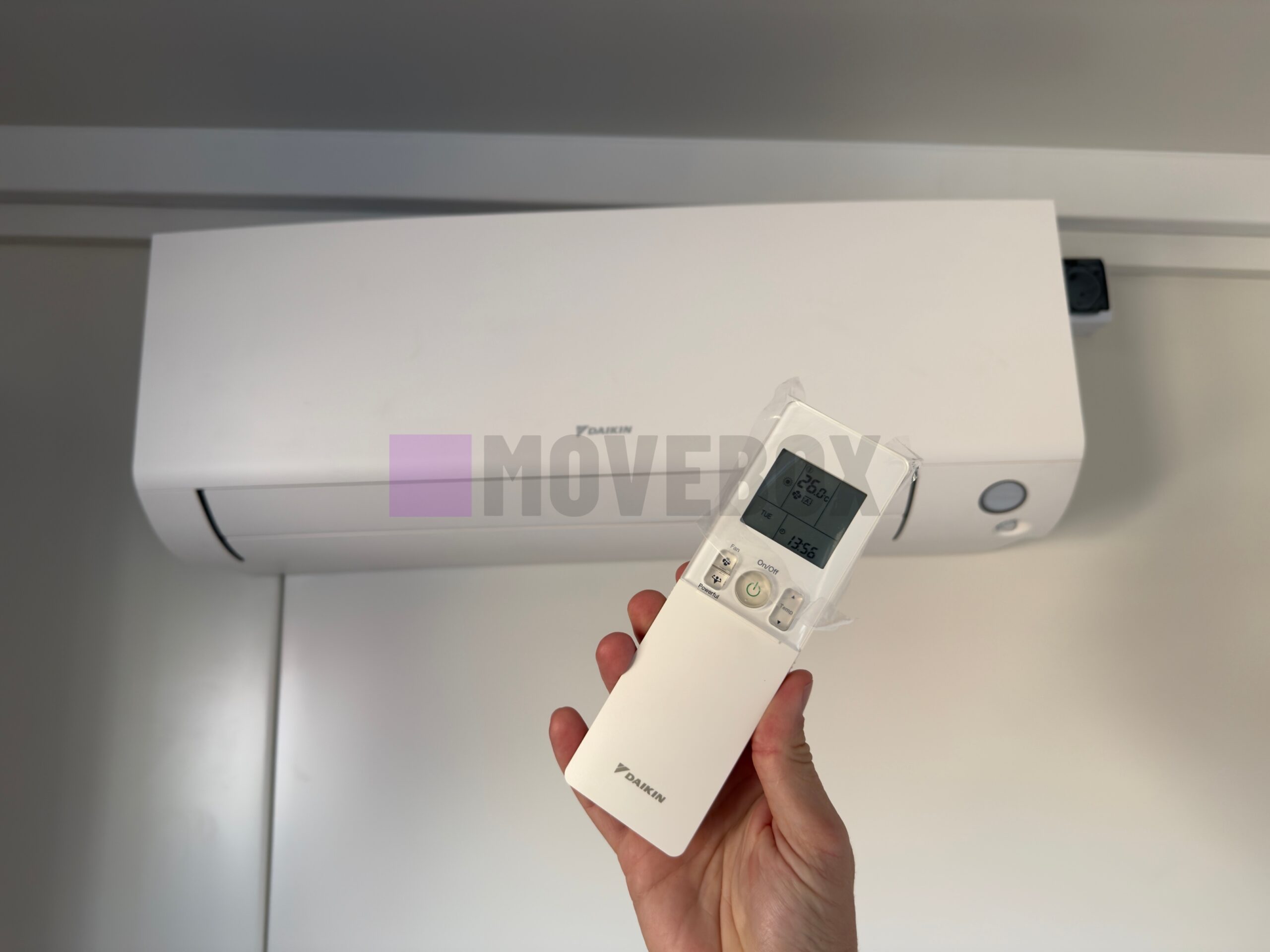 Container MOVEBOX 103