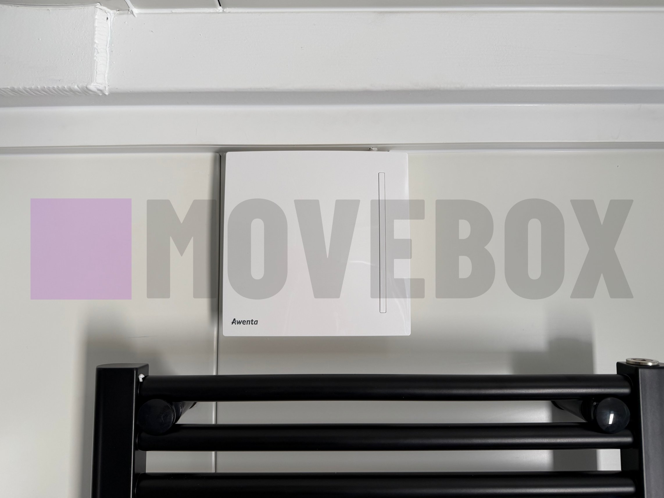 MOVEBOX Container 107